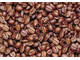 beans_1 (2).JPG